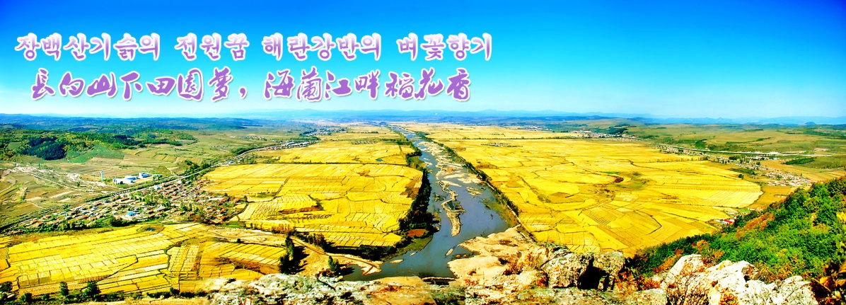 ӱݺƽִũҵչ滮