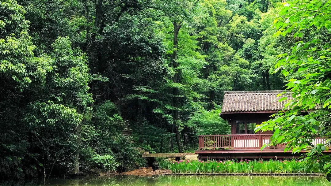 灵峰山——安吉最美休闲度假养生福地