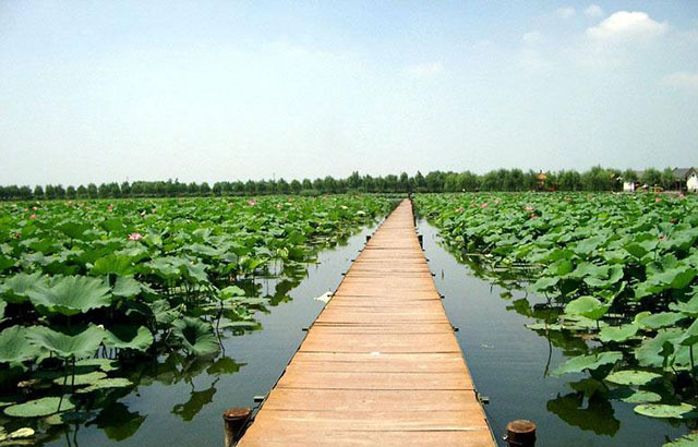 任丘市旅游产业发展总体规划（2009-2020）