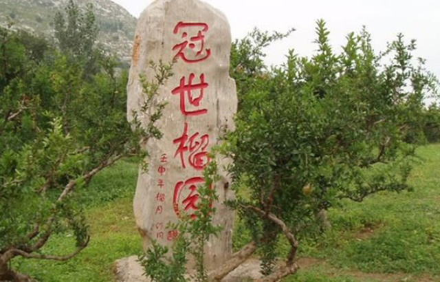 山东枣庄冠世榴园旅游区总体规划