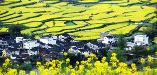 黄山市乡村旅游发展总体规划（2007-2020）