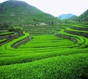 潍坊市乡村旅游发展总体规划（2012-2022）