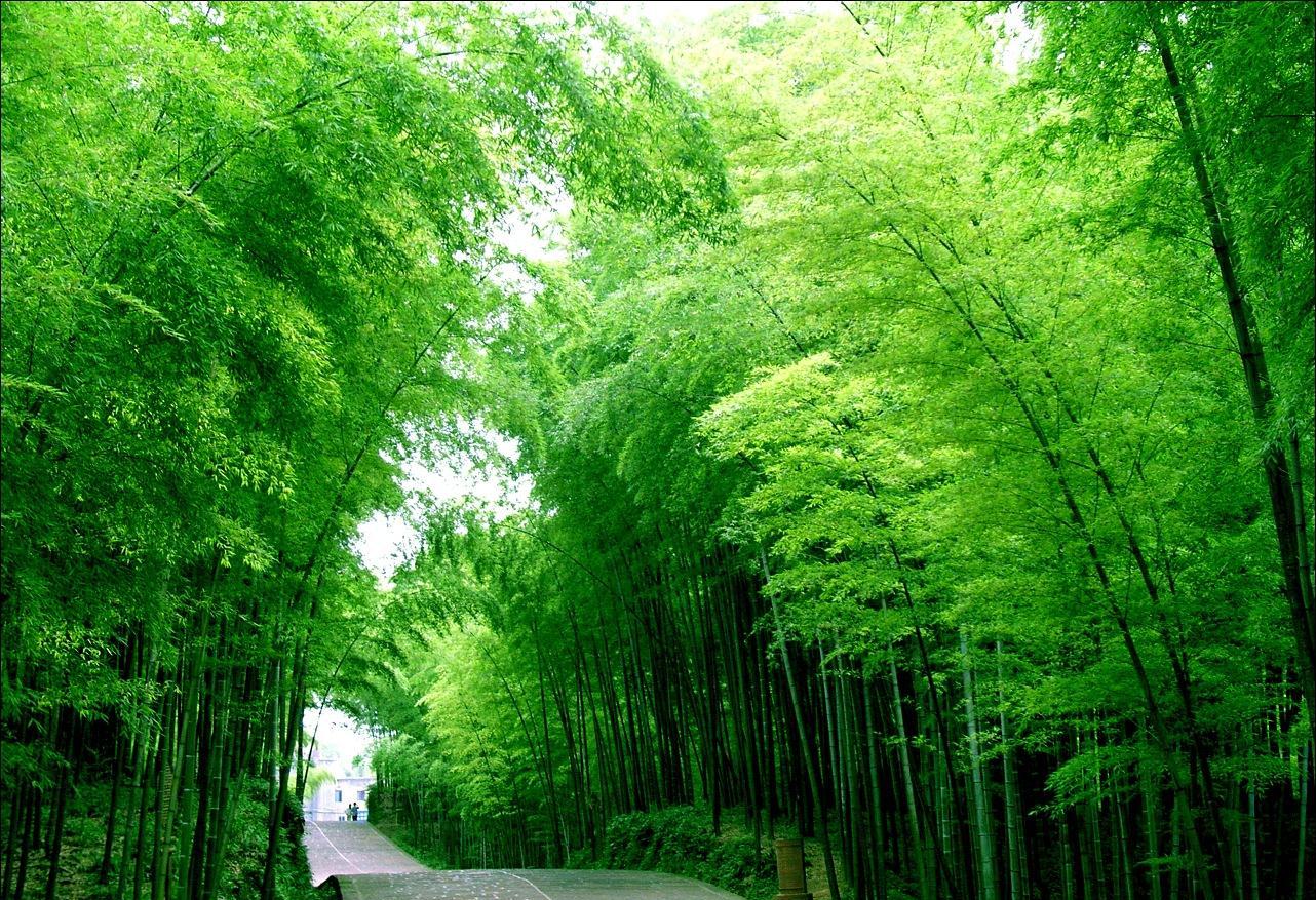 宜宾市智慧旅游总体规划 宜宾市智慧旅游总体规划