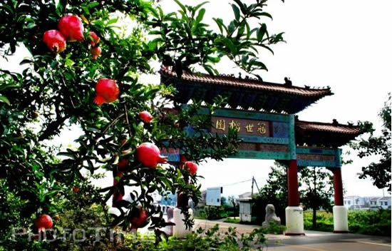 山东枣庄冠世榴园旅游区总体规划