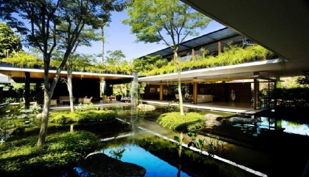 普洱国家公园总体策划及核心区修建性详细规划