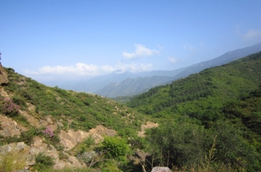 梅山森林公园总体规划