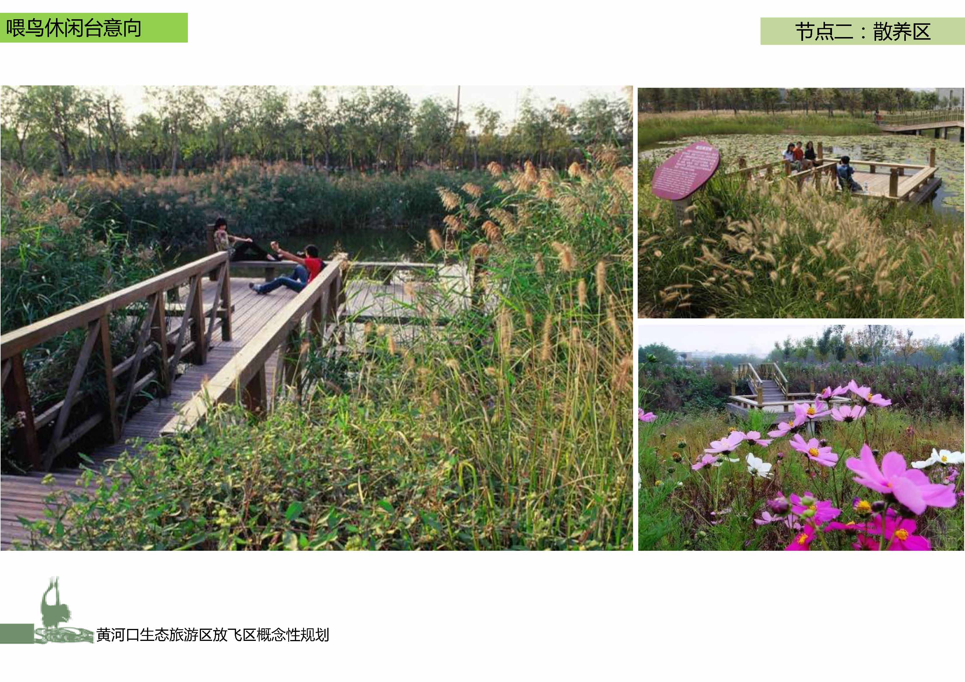 黄河口湿地公园喂鸟