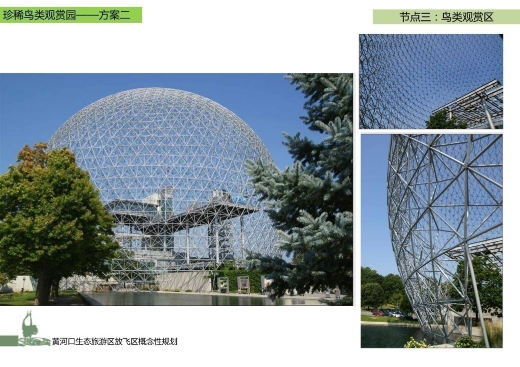 黄河口湿地公园珍稀鸟类