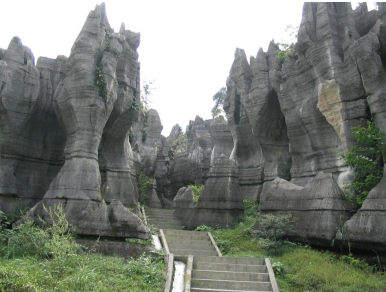 重庆龙鳞石海景区旅游总体策划 重庆龙鳞石海景区旅游总体策划