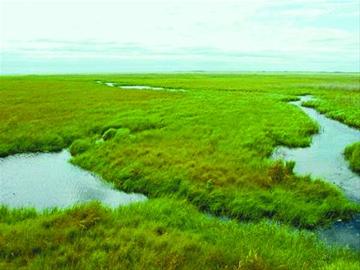 江苏江阴徐霞客故里湿地公园规划及总体景观设计