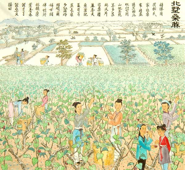 江苏江阴徐霞客故里湿地公园规划及总体景观设计