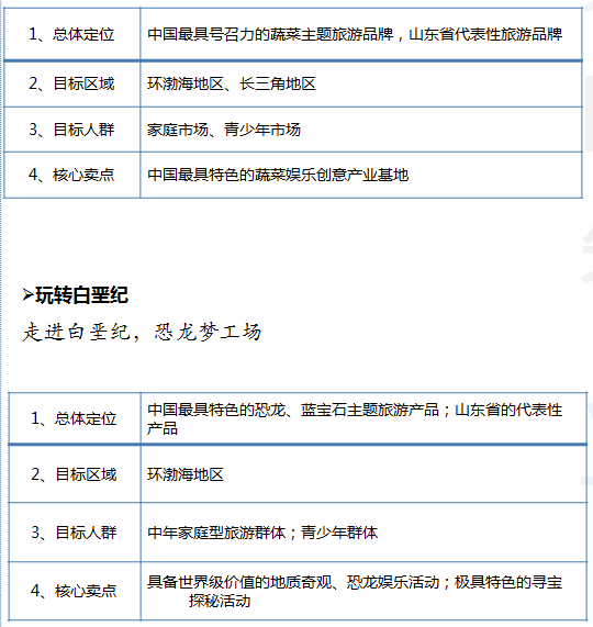 山东省潍坊市旅游营销总体策划