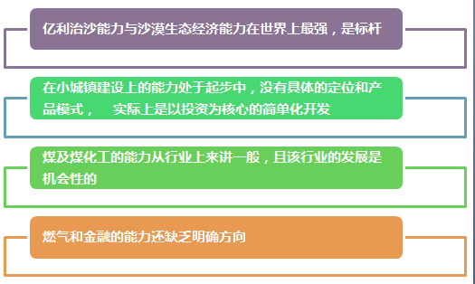 亿利资源集团发展战略研究