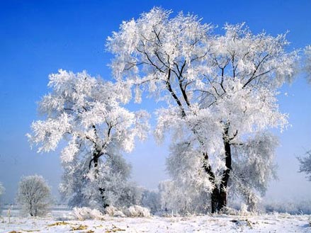 吉林冰雪旅游产业发展总体规划 吉林冰雪旅游产业发展总体规划