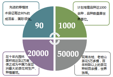 中国·福安 世界茶花公园旅游区旅游总体规划