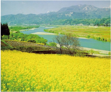 房山区自驾车旅游综合服务体系规划