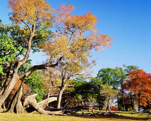 吉林省辉南县金川镇旅游规划