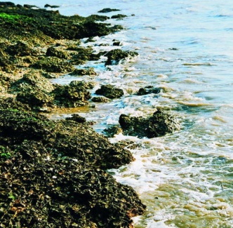 巅峰智业蛎岈山国际海洋生态旅游中心开发战略策划 巅峰智业蛎岈山国际海洋生态旅游中心开发战略策划