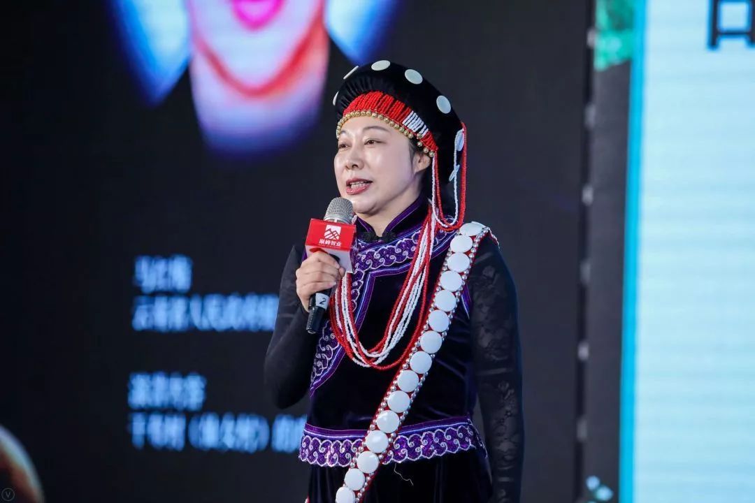 云南省政府驻北京办事处主任  马红梅