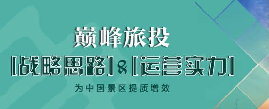 巅峰智业