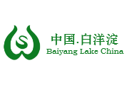 白洋淀